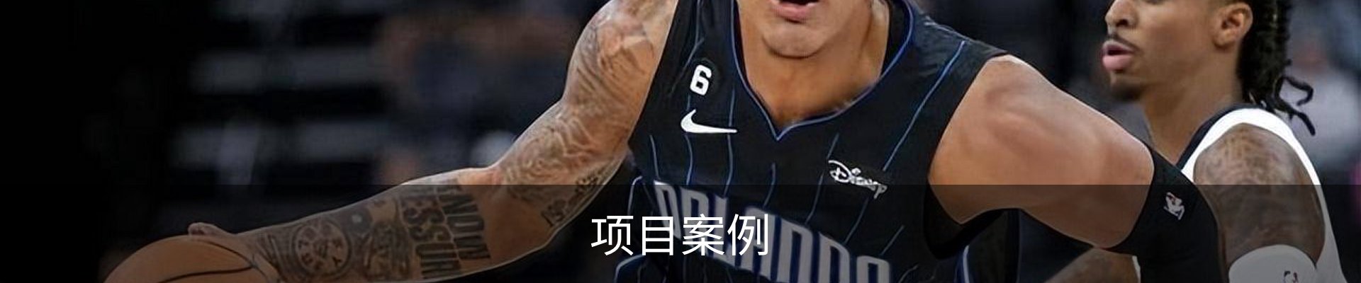 项目案例